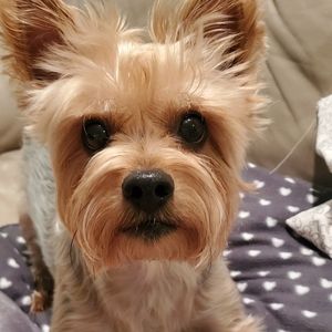 Meet your Posher, Katherine